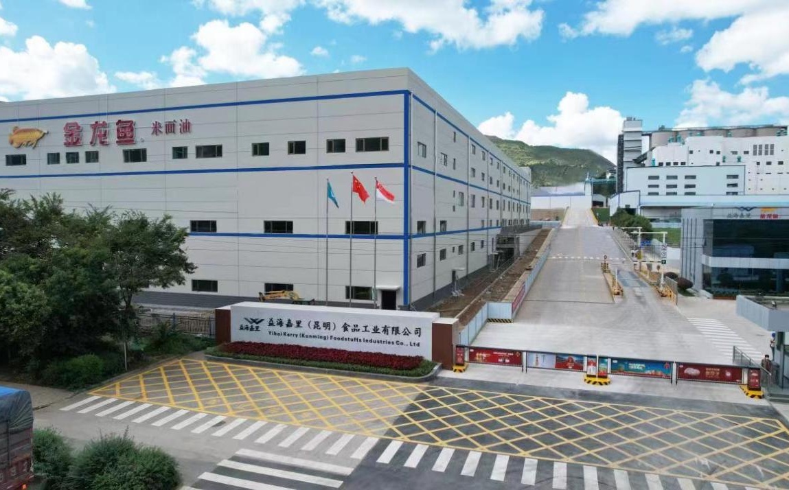 金龙鱼.jpg 金龙鱼.jpg